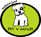 Primary Raster logo